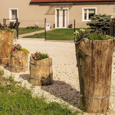 Ferienwohnung Apartament Pod Lasem Oldrzychowice Klodzkie Exterior foto